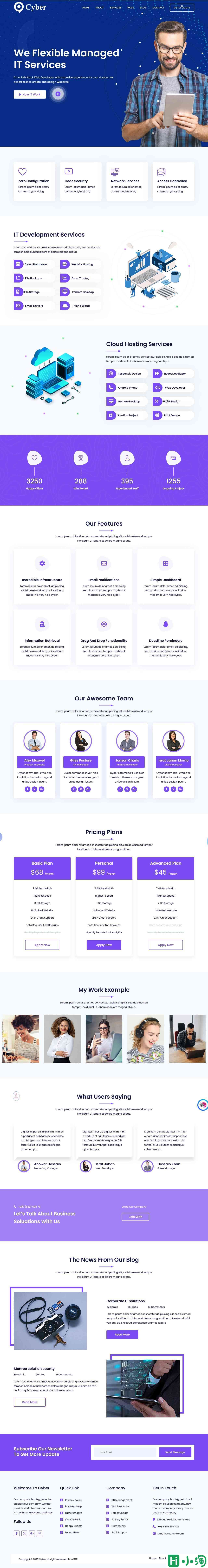 IT服务管理公司专业网站模板-PC预览